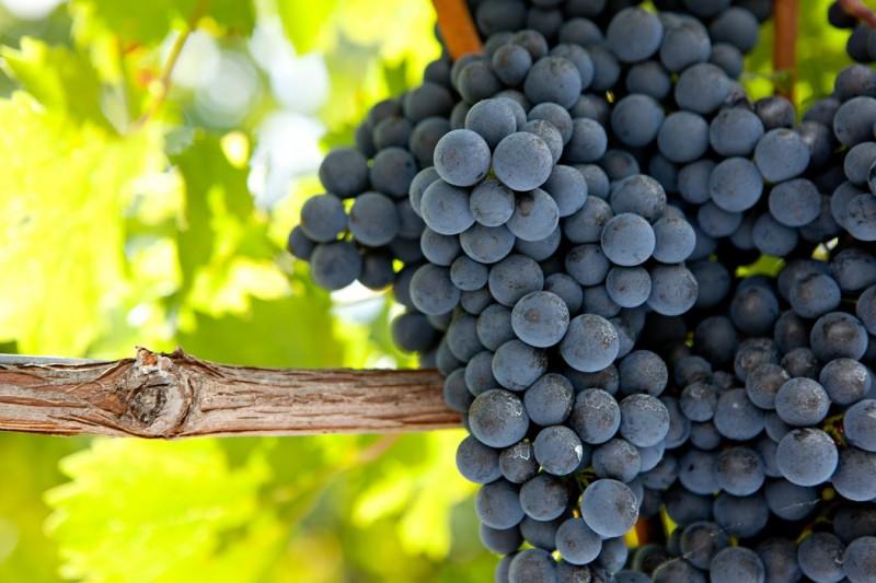 普赖萨克 Terres De France - Domaine De Claire Rive酒店 外观 照片