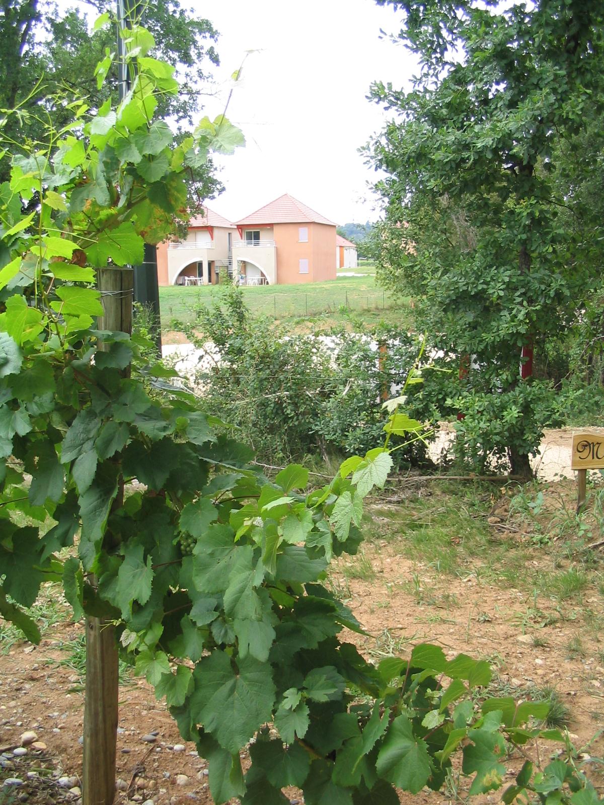 普赖萨克 Terres De France - Domaine De Claire Rive酒店 外观 照片