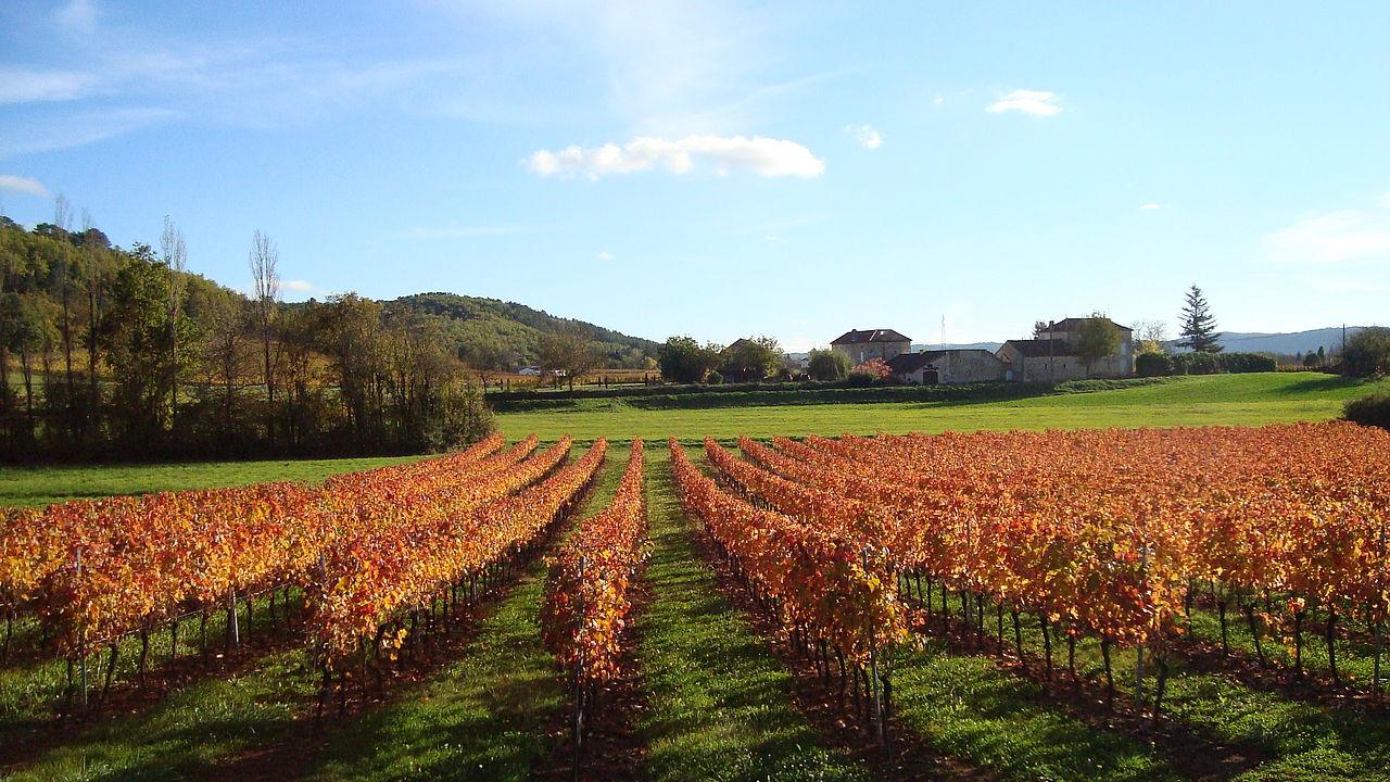 普赖萨克 Terres De France - Domaine De Claire Rive酒店 外观 照片